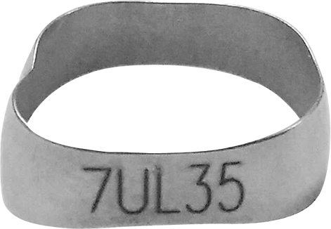 Band